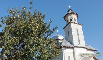 Lemniu-Biserica Sf.Arh.Mihail si Gavril-2