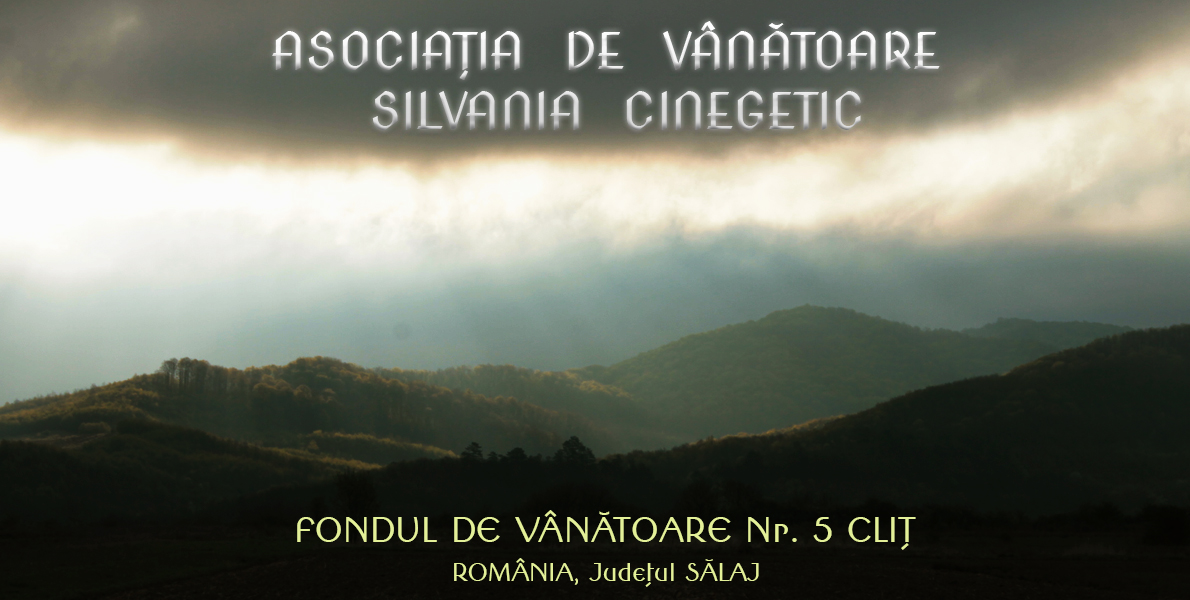 Asociatia de vanatoare Silvania Cinegetic-Fondul de vanatoare nr.5 Clit